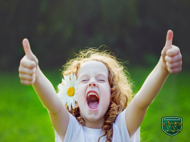 FD - Healthy Landscapes Root of Happiness