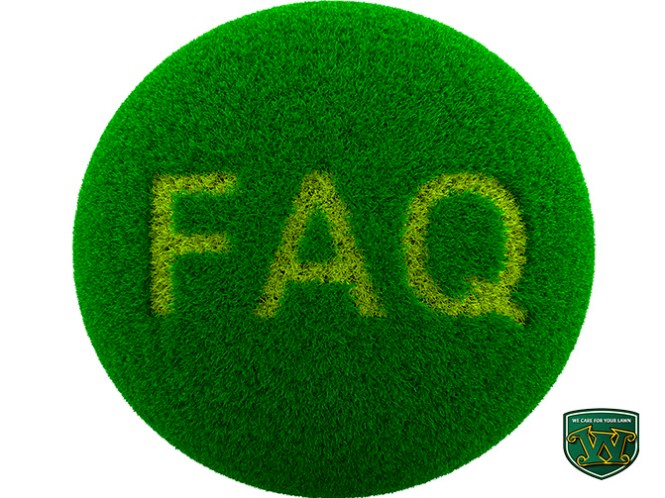 franchise-with-weed-man-faqs