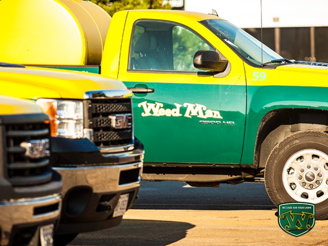 Weed Man Branding.jpg